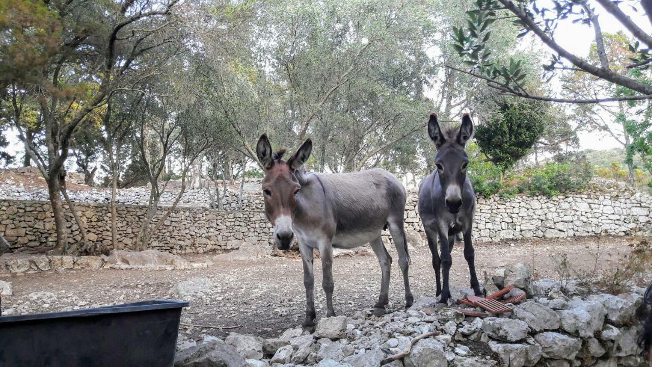 דירות Authentic Ap For 2, Babino Polje,Mljet מראה חיצוני תמונה