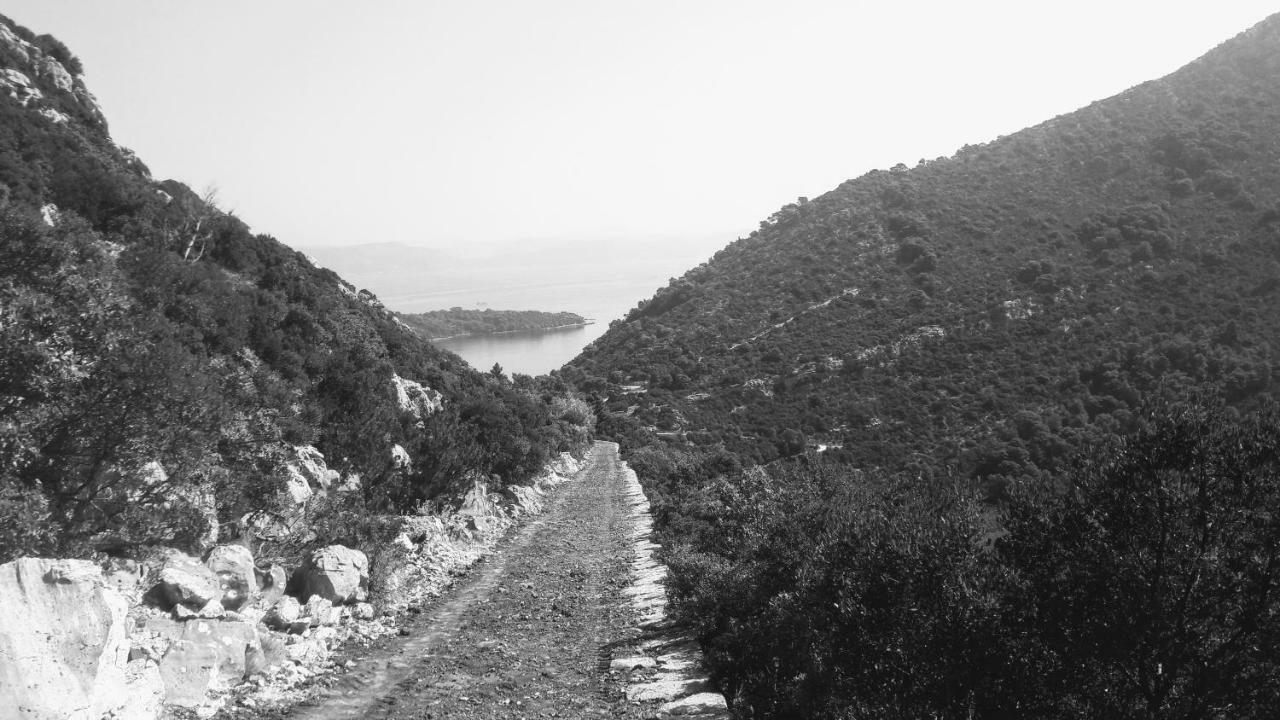 דירות Authentic Ap For 2, Babino Polje,Mljet מראה חיצוני תמונה