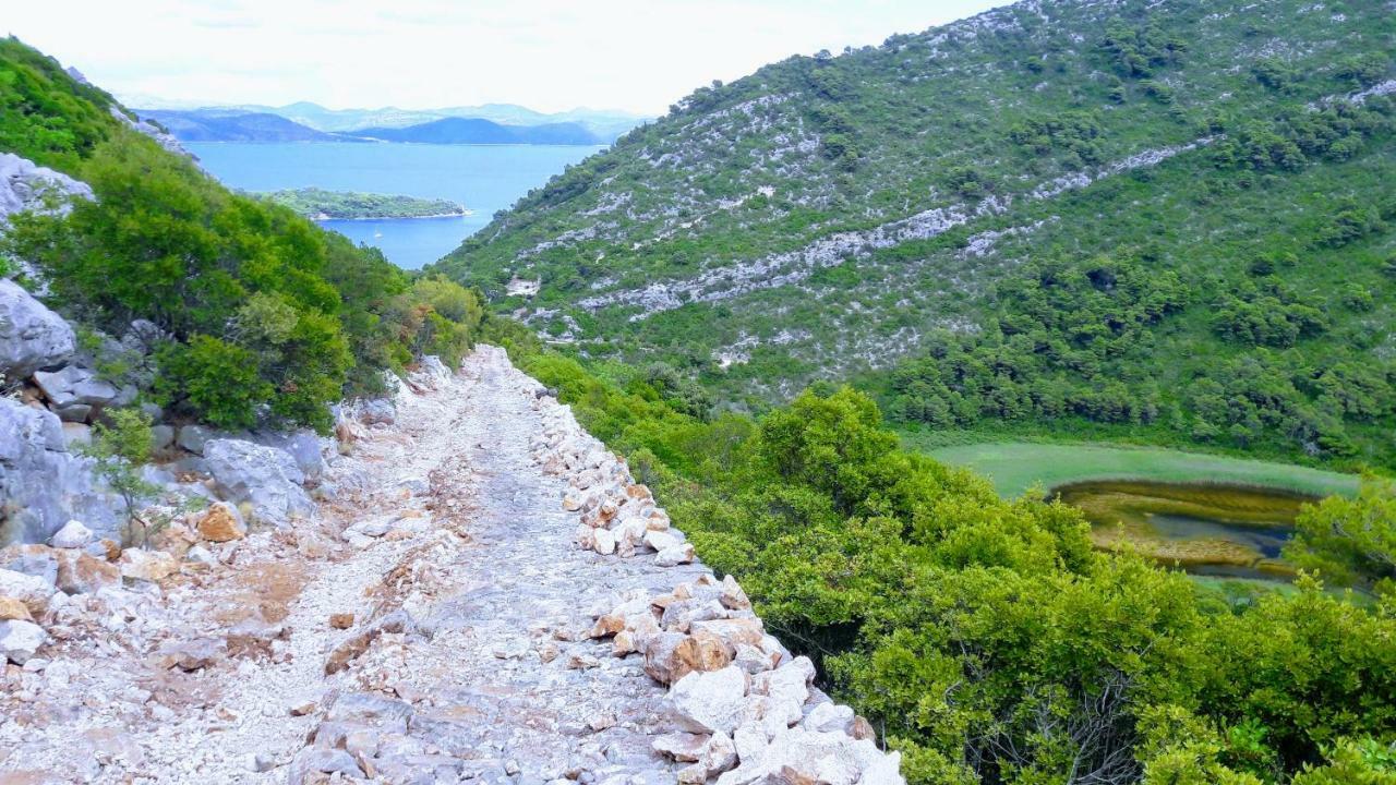 דירות Authentic Ap For 2, Babino Polje,Mljet מראה חיצוני תמונה